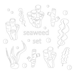 A set of seaweed. Coloring book - vector illustration, eps