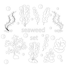 A set of seaweed. Coloring book - vector illustration, eps