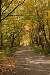 A country road in autumn, Sainte-Apolline, Québec, Canada
