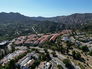 Aerial view of the Pacific Palisades California housing development © Graham Goldman/Wirestock Creators