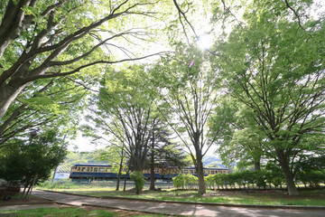 新緑としなの鉄道115系