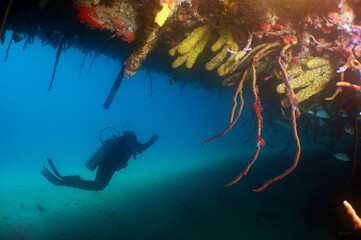 diver on the roof of a shipwreck on the island of Aruba