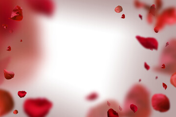 Fototapeta na wymiar Backdrop of rose petals isolated on a transparent white background. Valentine day background.