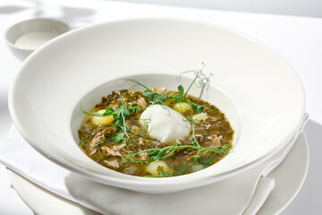 Traditional ukrainian soup - green borsch with sorrel and egg. Green borsch on white plate in summer menu. Sorrel soup with meat and egg on light background with shadows. Russian cuisine.