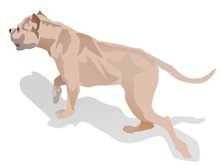 illustration of a dog
