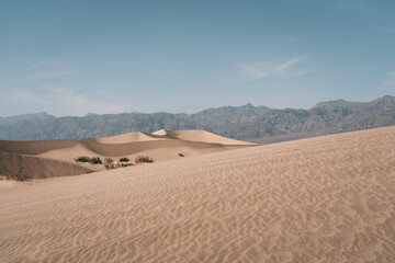 Fototapeta na wymiar Sand dunes in the Desert