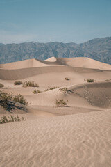 Sand dunes in the Desert
