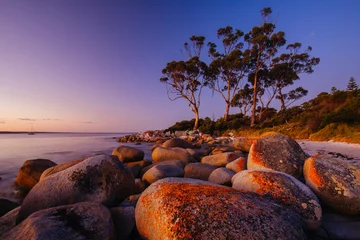 Sierkussen Binalong Bay zonsondergang in Tasmanië, Australië © FiledIMAGE