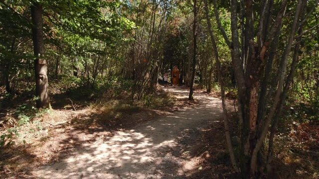 Woman and boy are walking in the forest in shadows of trees
