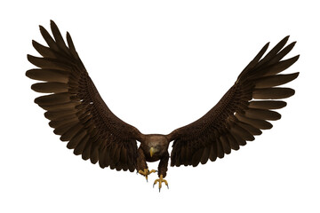 Golden Eagle landing with wings up, 3D illustration isolated on transparent background.