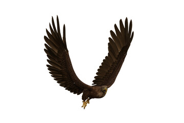 Golden Eagle flying with beak open, 3D illustration isolated on transparent background.
