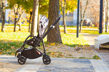 Baby stroller in the park
