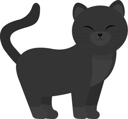 This is a black cat