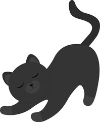 This is a black cat