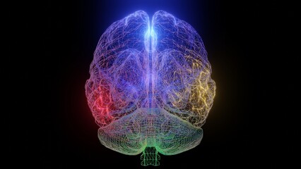 Colorful glowing wireframe human brain. Transparent wire frame brain with various colored lights inside. Black background. 3d render illustration