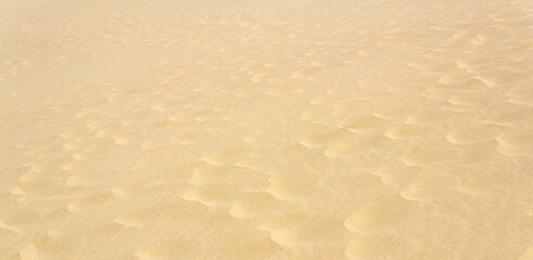 Fototapeta na wymiar natural background, sandy desert surface with dunes