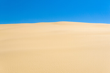 Fototapeta na wymiar desert landscape, sand dunes under blue sky