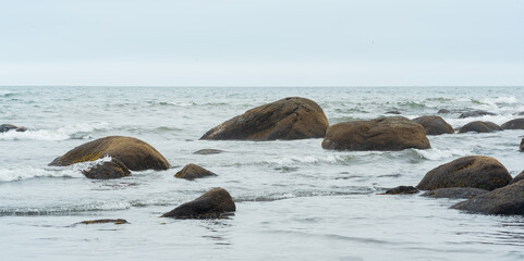 Fototapeta premium algae-covered coastal boulders in the surf