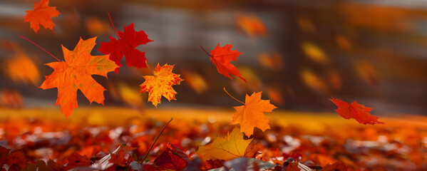 Red maple leaves flying in the wind on autumn background. Fall foliage for black friday sale and...