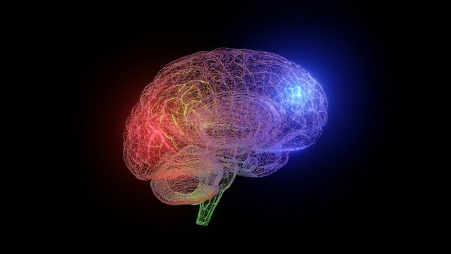 Colorful Glowing Wireframe Human Brain. Transparent Wired Brain With Various Colored Lights Inside. Black Background. 3d Render Illustration