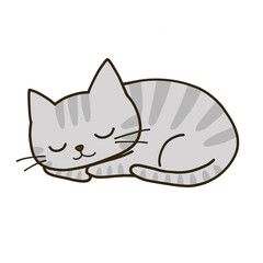 丸まって眠るシンプルなグレーのトラ猫