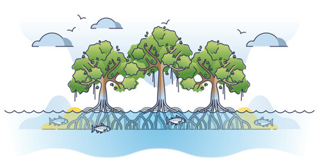 Mangrove trees with underwater roots system as tropical plant outline concept. Living flora in wet environment and coastal saline or brackish water areas vector illustration. Exotic botany vegetation.