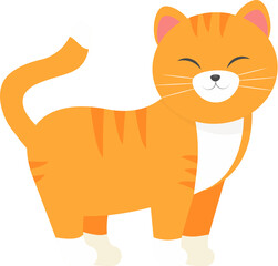 This is a cute orange cat