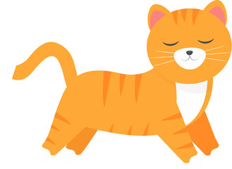 This is a cute orange cat