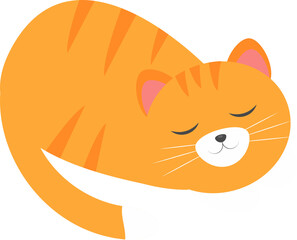 This is a cute orange cat