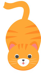 This is a cute orange cat