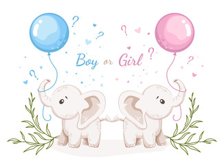 Boy or girl. He or she. Gender reveal invitation or banner template with baby elephants and helium balloons. Vector illustration