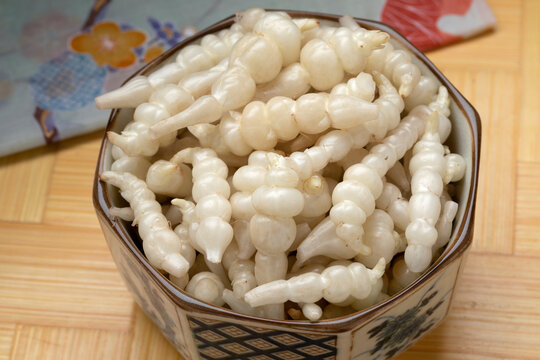 Japanese bowl with fresh raw white healthy Japanese artichoke tuber close up 