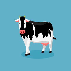 Black and white cow on blue background. Vector illustration in cartoon flat design style