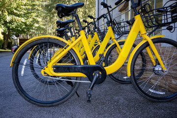Fototapeta na wymiar Bicycle rental. Yellow bicycles are parked. Bicycle parking at the office.