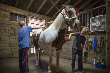 Brothers cleaning horse in stable