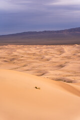 desert sand dunes