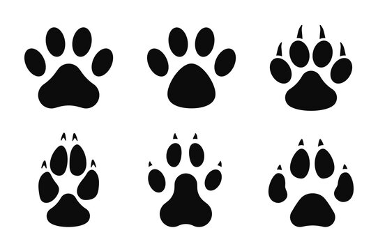 Animals footprints. Animal feet silhouette. Wild animals paw walking track or footprint tracks.