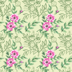 Watercolor Rosehip pattern