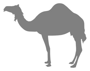 Camel Silhouette for Logo, Pictogram, Art Illustration or Graphic Design Element. Vector Illustration
