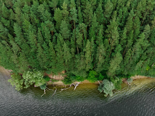 Nature landscape, drone aerial top view to green forest and lake