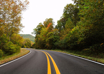 road in autumn