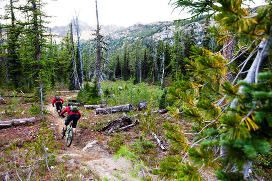 Two mountain bikers on sparse forest singletrack trail, Winthrop, Wa