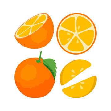Ripe orange set. Vector illustrations of tropical citrus fruit. Cartoon whole sweet orange with skin, cut into half, fresh pieces and circle slices isolated on white. Nature, vitamin food concept