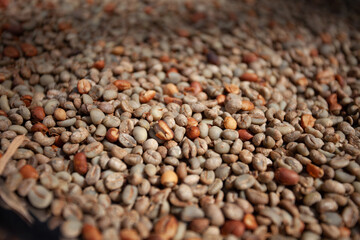 buckwheat on a wooden background