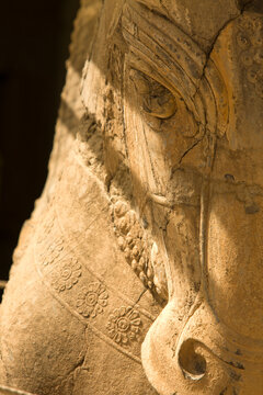 A stone carving at The Ancient Ruins of Persepolis, Persepolis, Iran