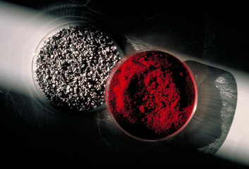 Dried female cochineal insects