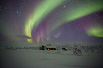 Northern lights in Pallas Yllastunturi National Park, Lapland, Finland