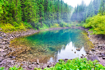 Forest misty blue lake