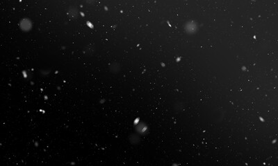 Fototapeta na wymiar Falling snow isolated on black background