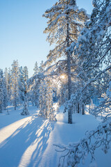 Winter landscape in Pallas Yllastunturi National Park, Lapland, Finland
